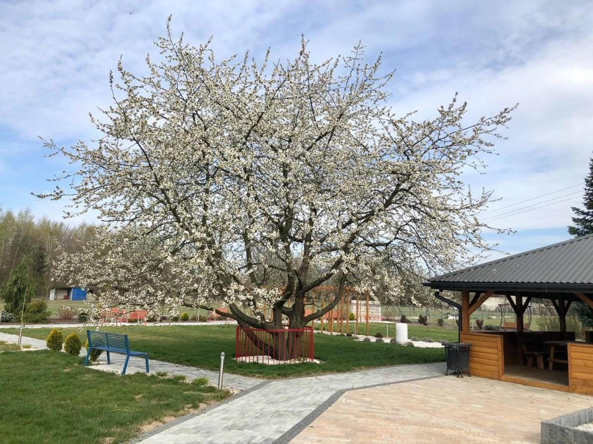 Hotel Kardamon Zbylitowska Gora Экстерьер фото